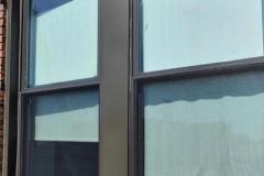 4e087a_8469b34053104bab9323839a4f0ad46fmv2-1